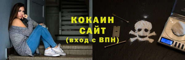 дмт Дмитровск