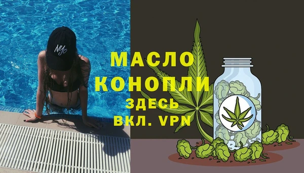 дмт Дмитровск
