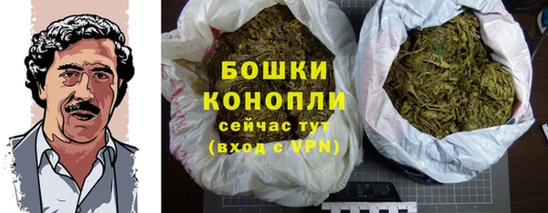 дмт Дмитровск