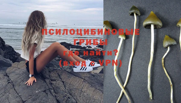 дмт Дмитровск